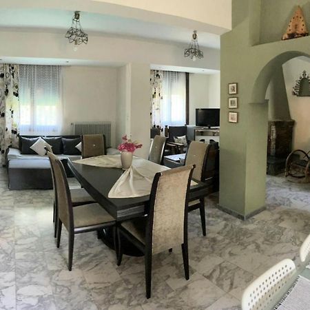 Pensjonat Theodoras House Nea Iraklitsa Zewnętrze zdjęcie
