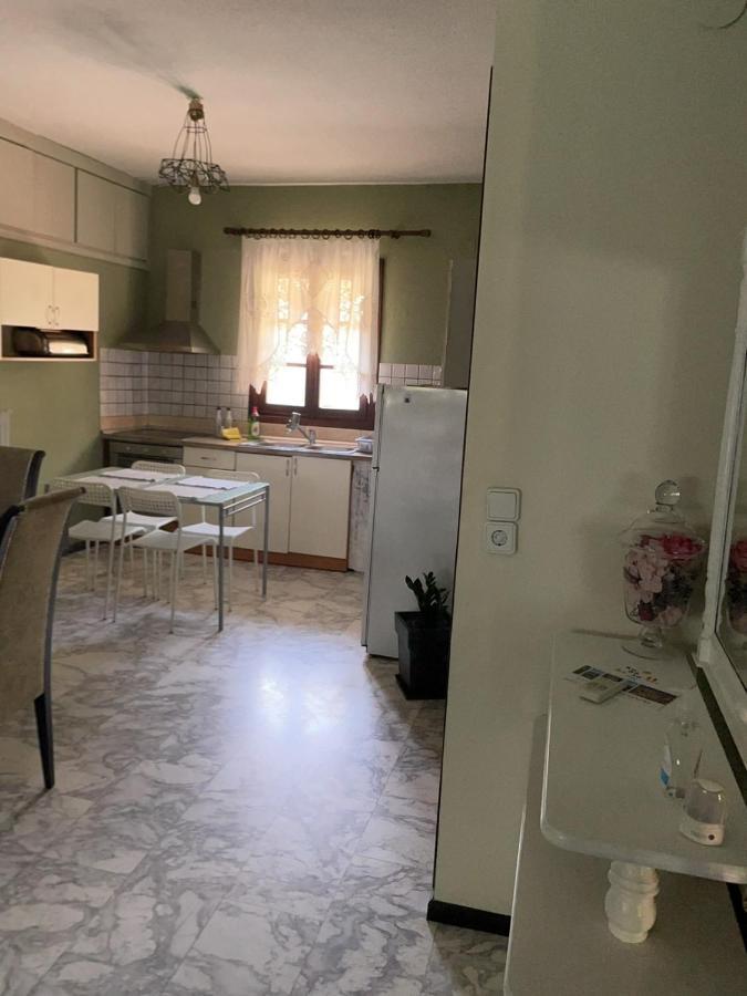 Pensjonat Theodoras House Nea Iraklitsa Zewnętrze zdjęcie