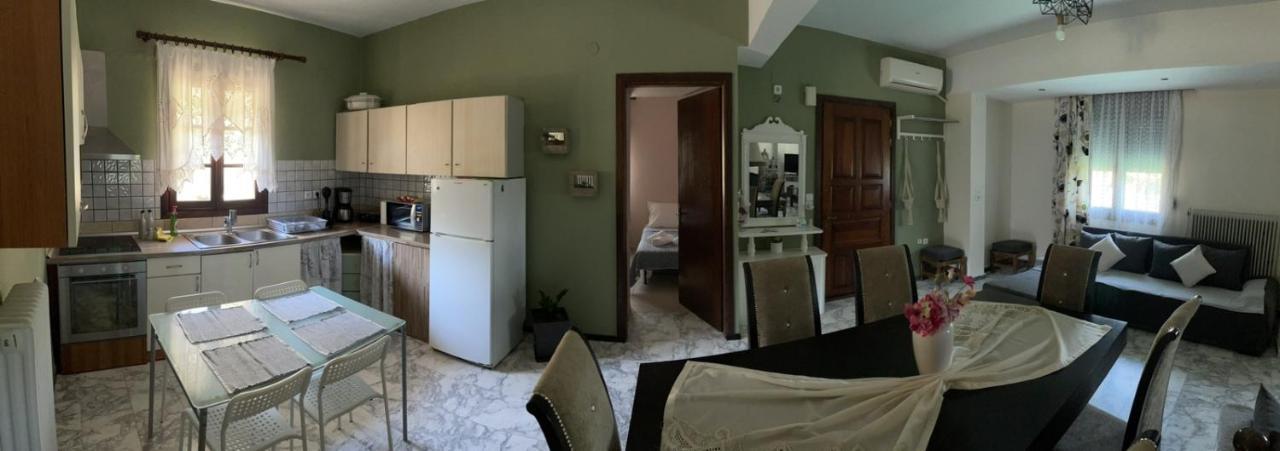 Pensjonat Theodoras House Nea Iraklitsa Zewnętrze zdjęcie