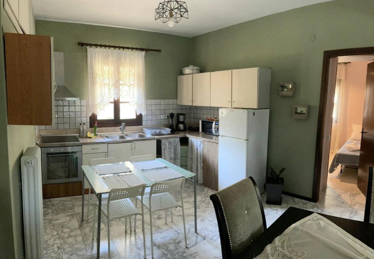 Pensjonat Theodoras House Nea Iraklitsa Zewnętrze zdjęcie