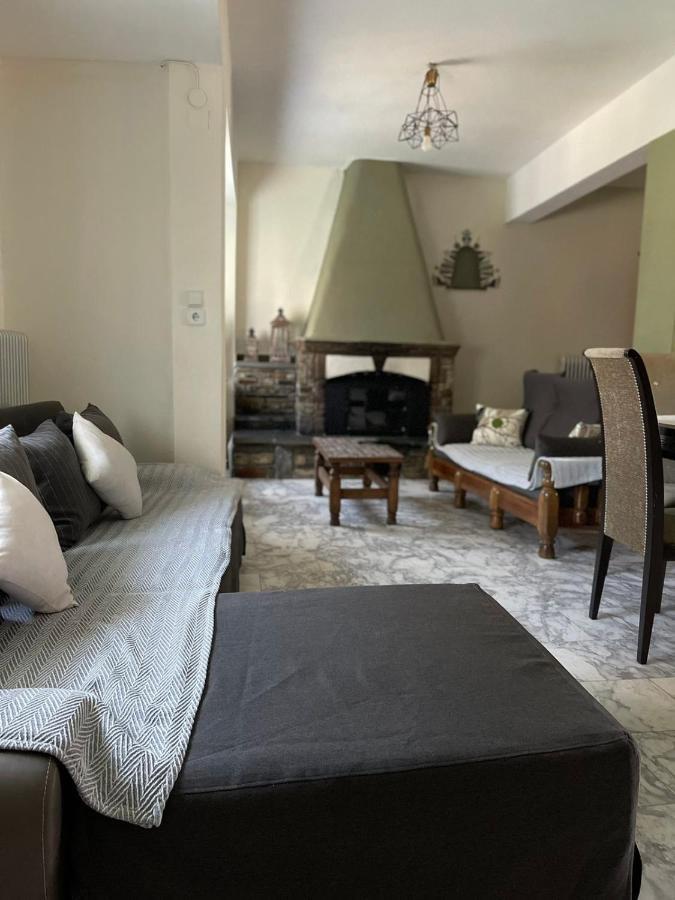 Pensjonat Theodoras House Nea Iraklitsa Zewnętrze zdjęcie