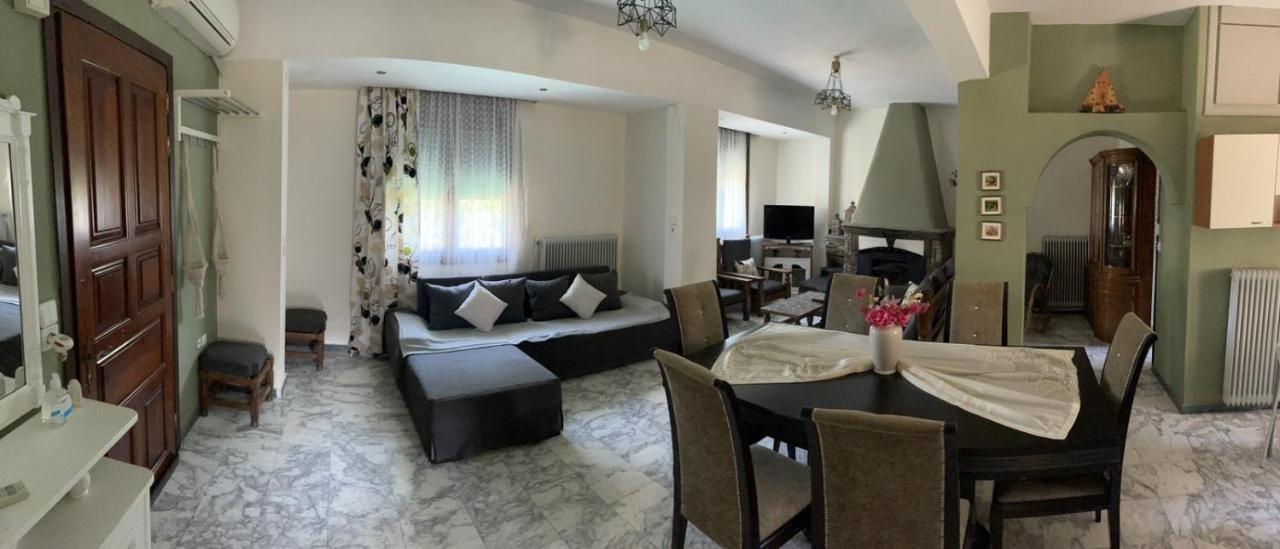 Pensjonat Theodoras House Nea Iraklitsa Zewnętrze zdjęcie