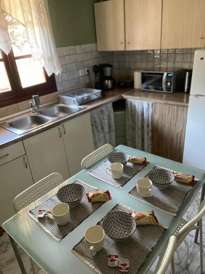 Pensjonat Theodoras House Nea Iraklitsa Zewnętrze zdjęcie